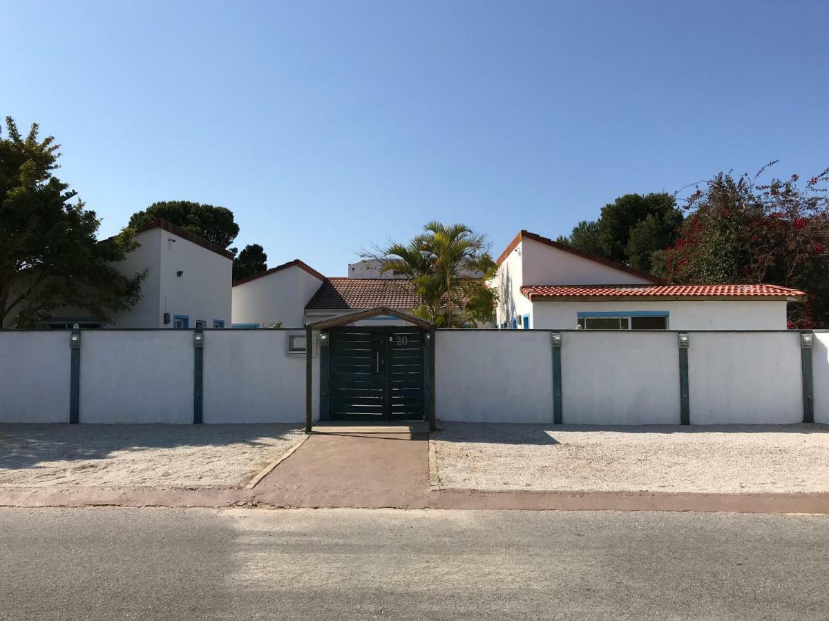 The Green Palm Cottage بليتنبيرغ باي المظهر الخارجي الصورة